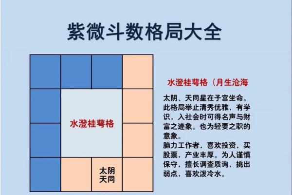 紫薇斗数反主