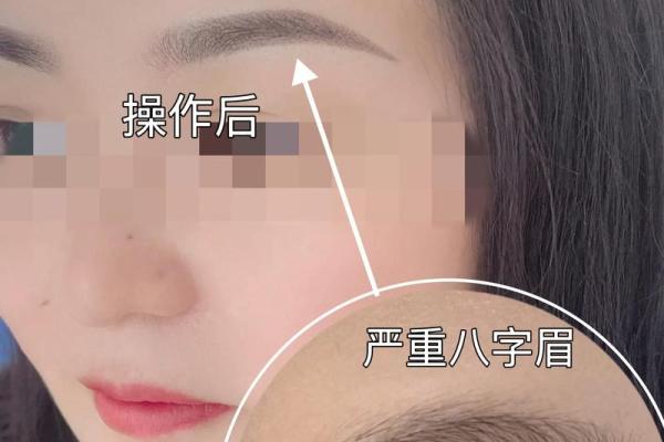 八字眉的女人面相命运事业发展如何