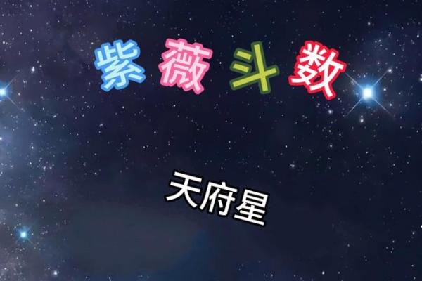 紫薇斗数阴阳星
