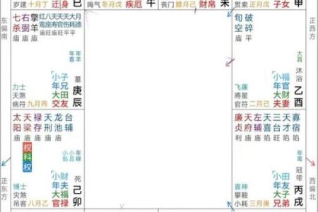 紫微斗数的权星,紫微权忌定位