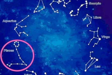 最爱双鱼女的四大星座