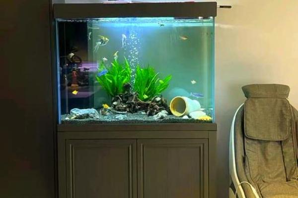 在鱼缸里盖房子好不好风水