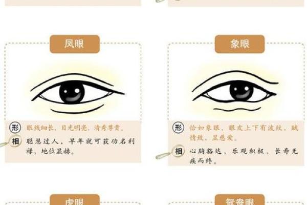 吕祖灵签非常运势网