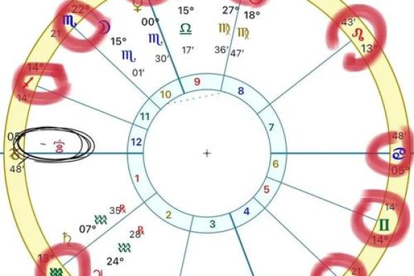星盘的出相跟入相什么意思  星座落入宫位是什么意思
