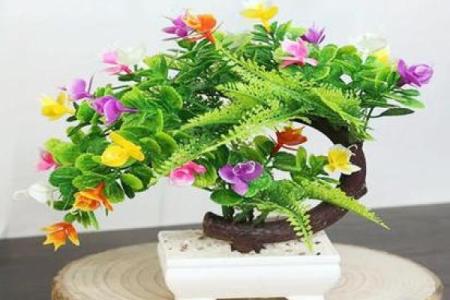 假花摆放在房屋里哪里不会影响到风水呢