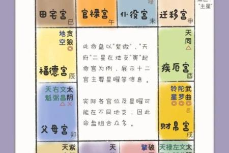 紫薇斗数生子