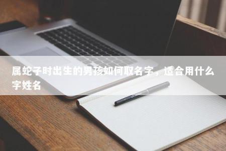 属蛇子时出生的男孩如何取名字，适合用什么字姓名