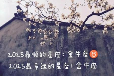 金牛座最合不来的星座 金牛座最合得来的星座