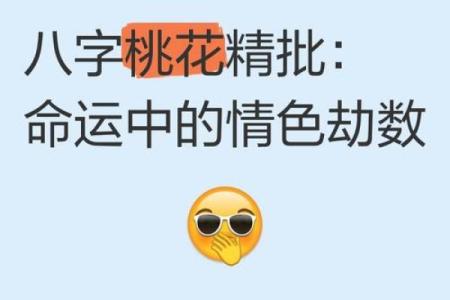 八字申子辰
