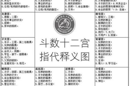 紫薇斗数12宮