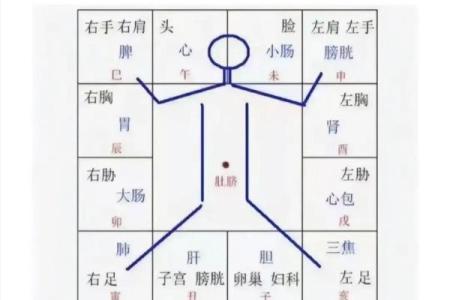 紫薇斗数与梅花易