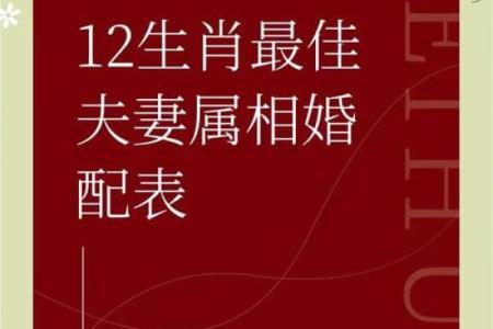 十二生肖配对算命 配婚姻八字十二生肖免费