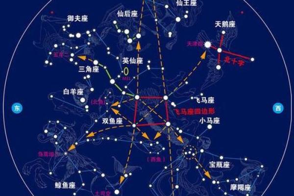秋季星空，哪些星座最美丽？