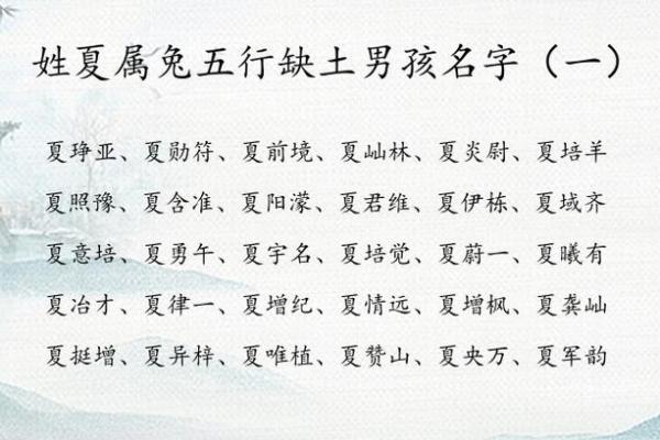 11月份出生的属兔男孩应如何取名字姓名