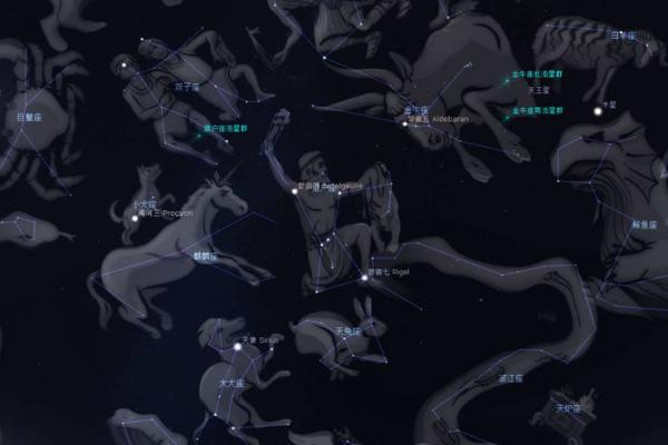 北半球的29个星座分别是哪些