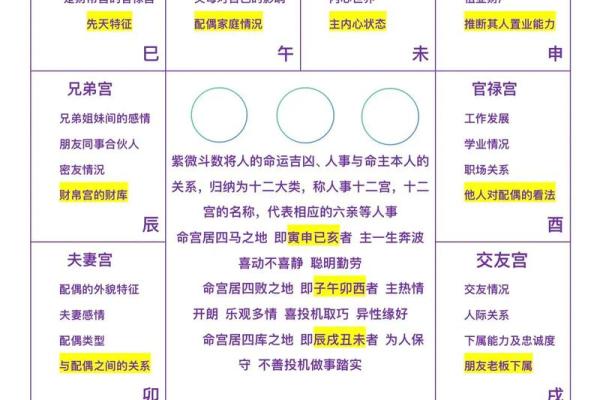 紫薇斗数怎么排盘