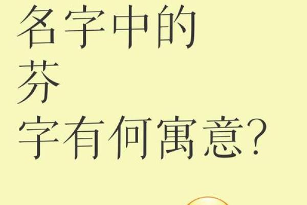 名字的意义-姓名的含义-姓名学姓名