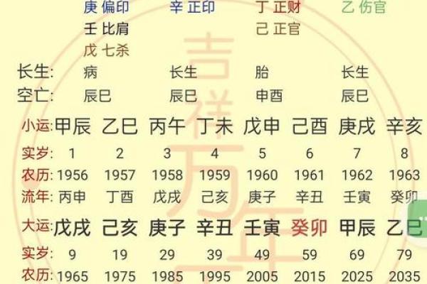 八字基础视频