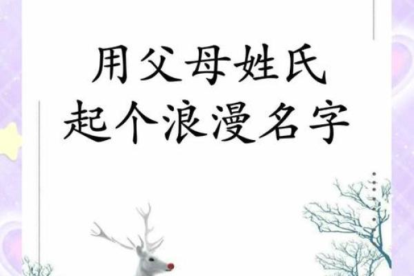 傍晚7点出生的属鼠男孩怎么样取名字姓名