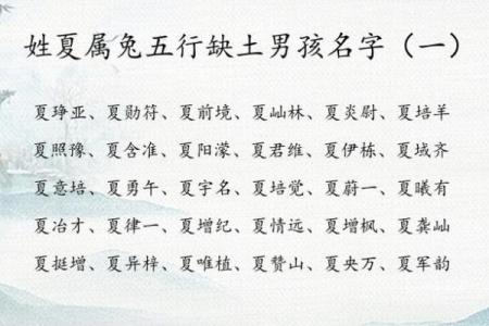11月份出生的属兔男孩应如何取名字姓名