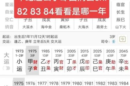 算命排八字