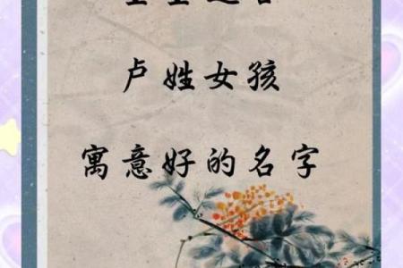 卢姓女孩名字大全-卢姓女孩起名字大全-卢姓名字大全姓名