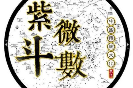 紫薇斗数有福