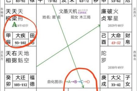 紫薇斗数灵媒