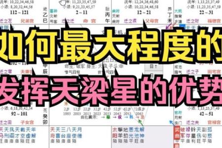 八字太阳天梁是什么意思,太阳天梁性格