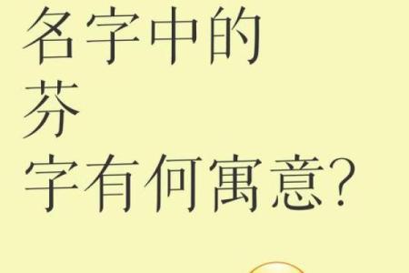 名字的意义-姓名的含义-姓名学姓名
