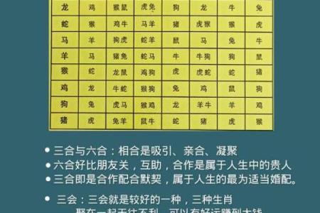 鼎易堂：八字中刑冲合化的应用