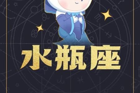 在哪里查陶白白星座运势