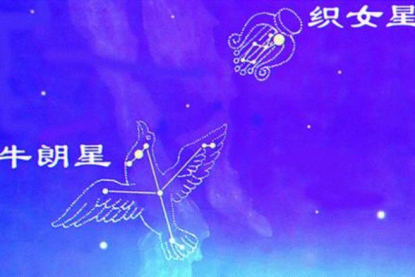 牛郎星是什么星座