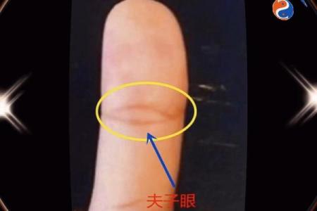 手相算命：假夫子眼的命运如何