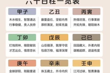 八字入门必背知识