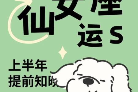 仙女座能打败十二星座吗