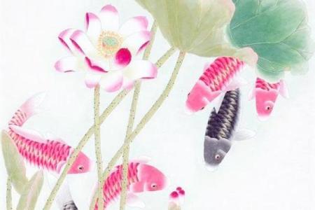 莲花玄关风水作用