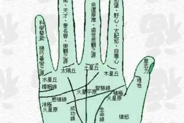 五角星手纹算命图解 五角星手纹手相
