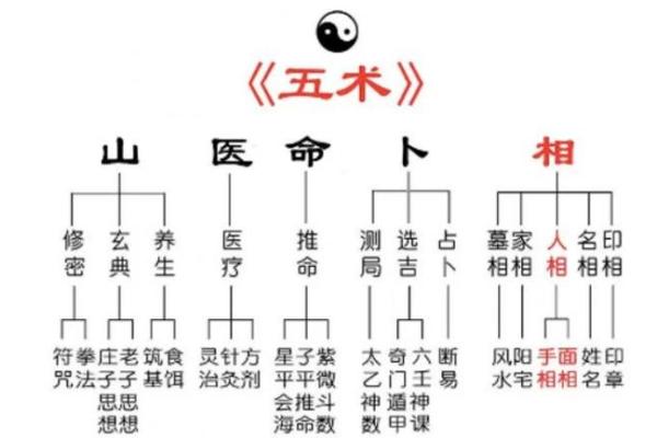 琴堂派紫薇斗数