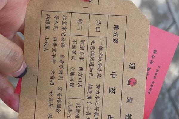 怎么查自己的灵签信息内容