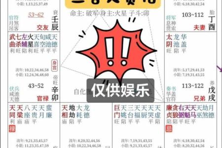 高人汇紫薇斗数