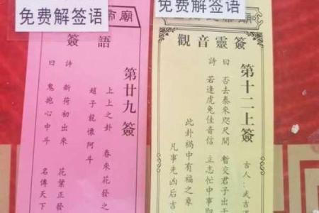 怎么查自己的灵签信息内容