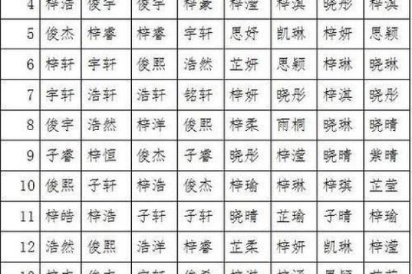 2019年6月24号子时出生的男孩要怎么起名字姓名