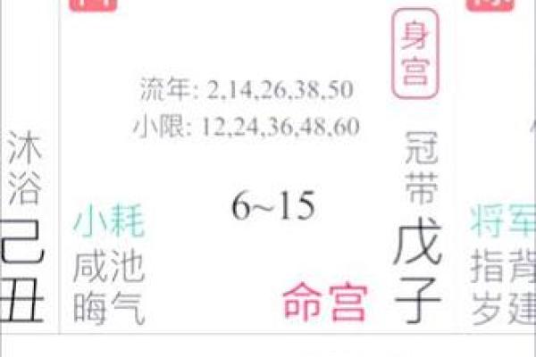 紫薇斗数详解软件