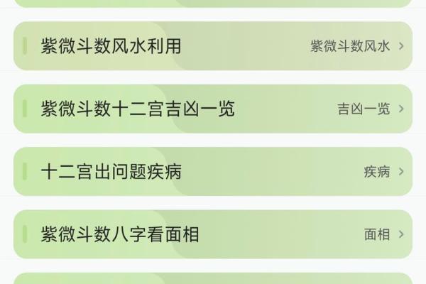 紫薇斗数详解软件