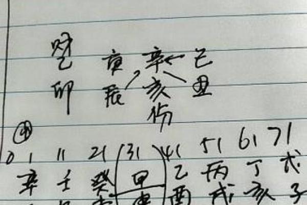 【八字基本资料查询】人生路途方向如何？
