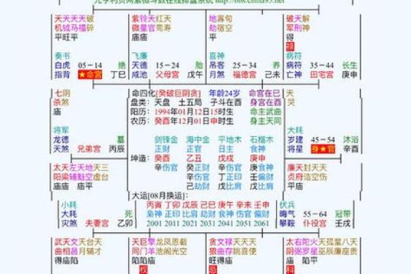 紫薇斗数怎么看有没有小孩