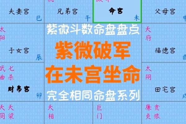 紫微斗数案例13姻缘：夫妻宫无主星，桃花太旺伤婚姻的命盘