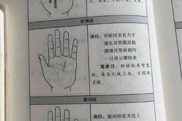 算命手相,免费看手相算命