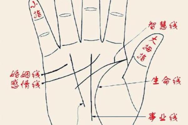 算命手相,免费看手相算命